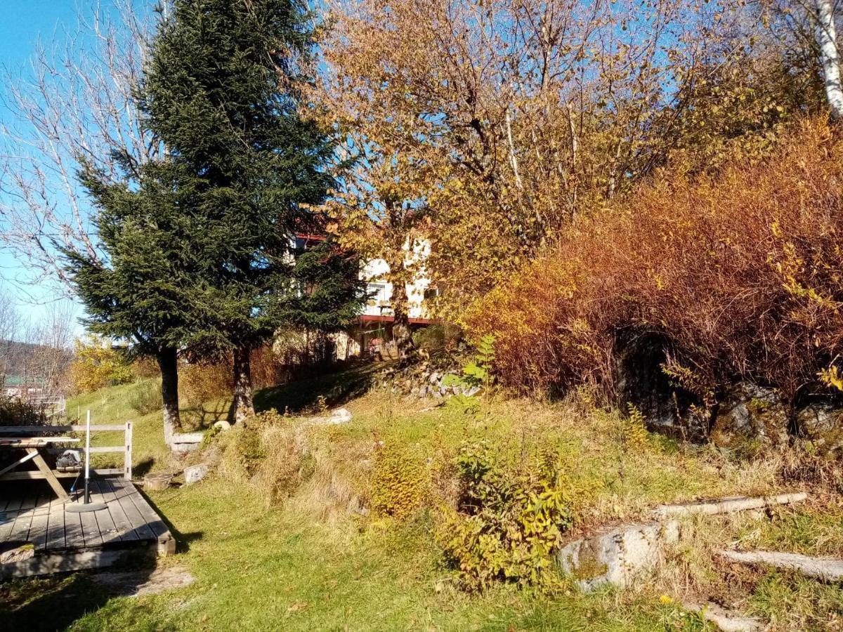 Au Grenier Du Lac ジェラールメ エクステリア 写真
