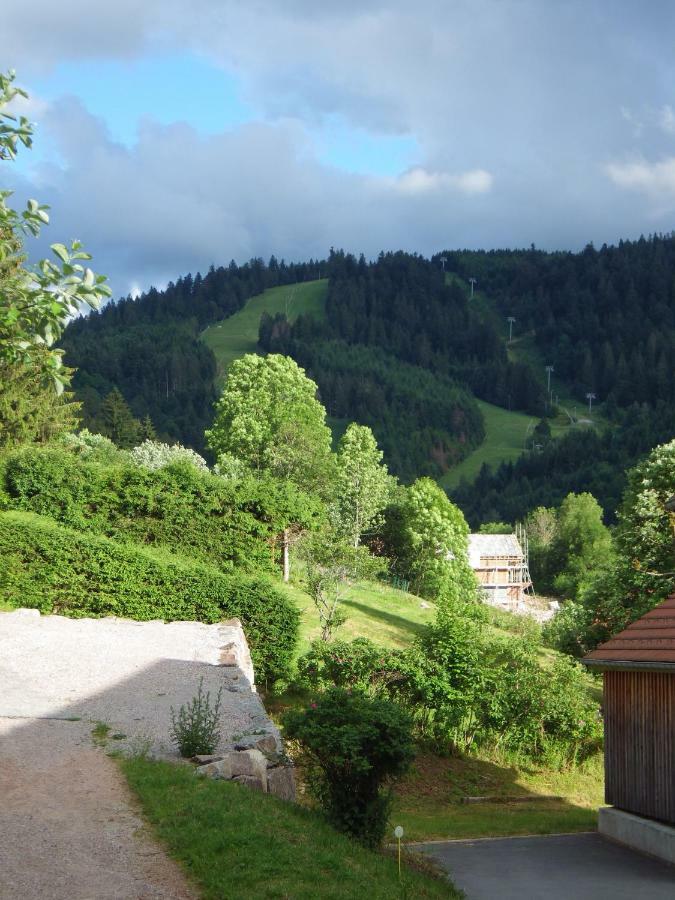 Au Grenier Du Lac ジェラールメ エクステリア 写真
