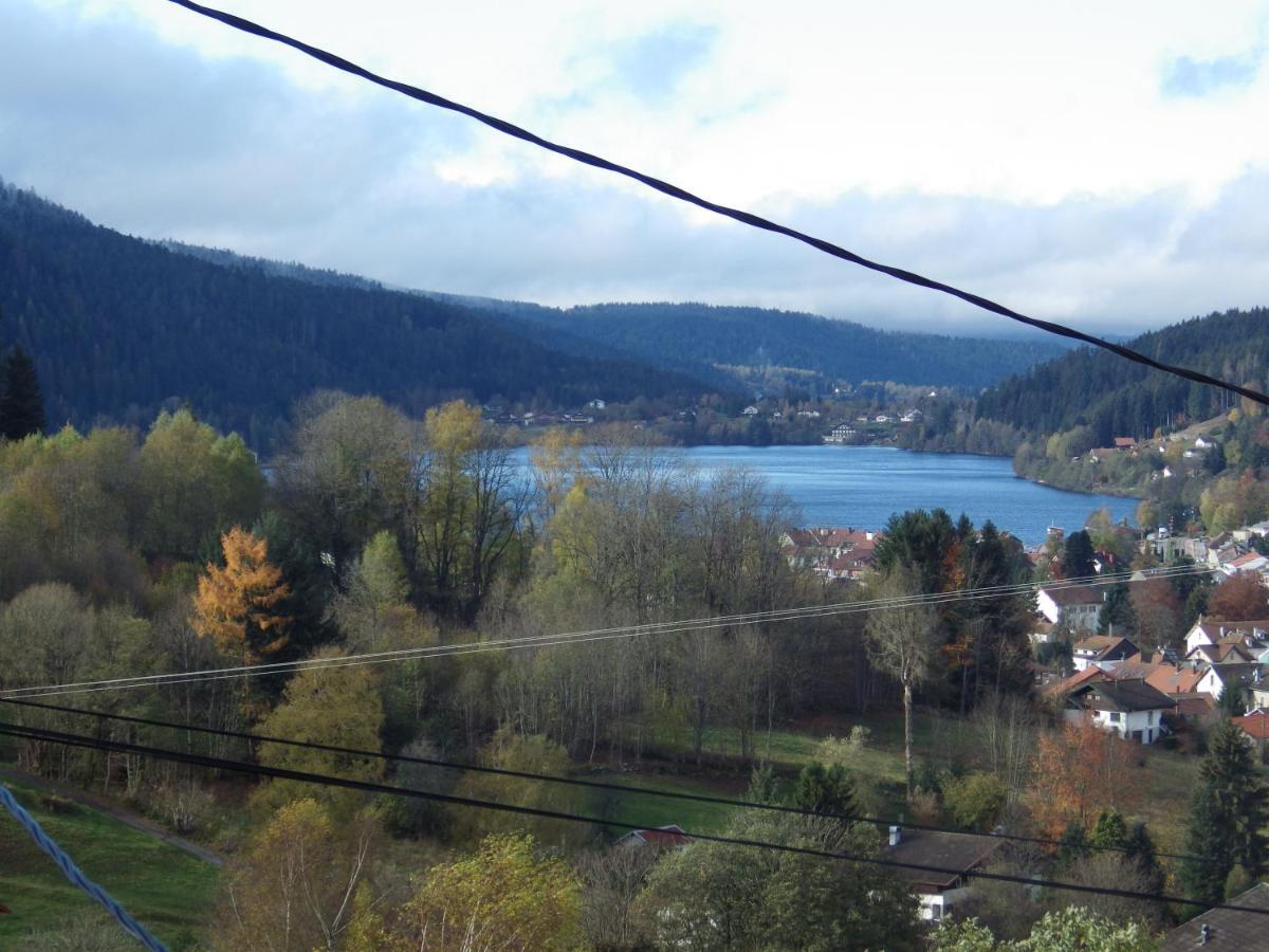 Au Grenier Du Lac ジェラールメ エクステリア 写真